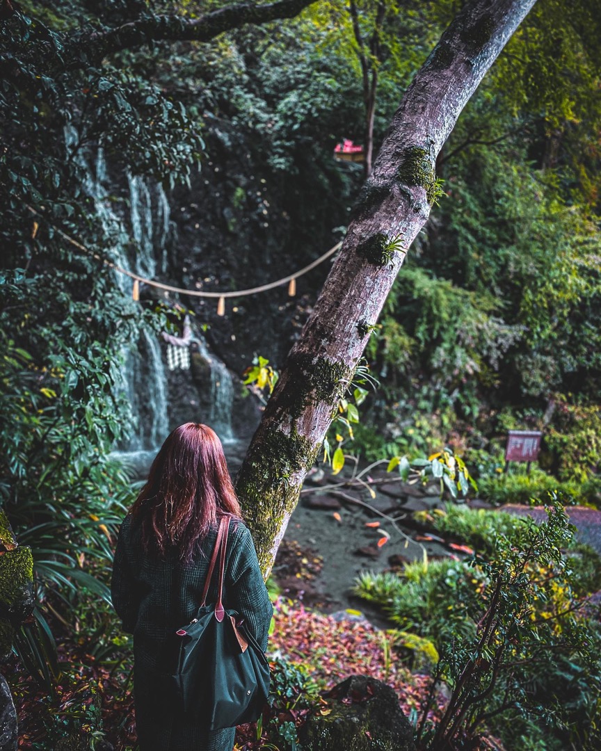 Model on a stone path swallowed by ferns
