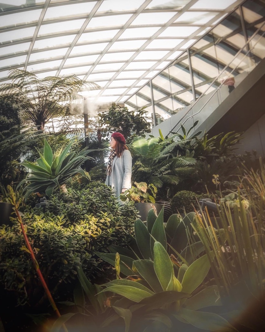 Glasshouse roof garden with hidden figure
